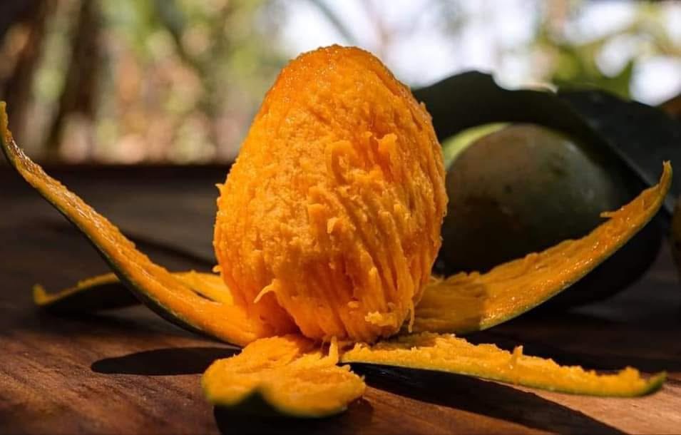 গোবিন্দভোগ আম ৩