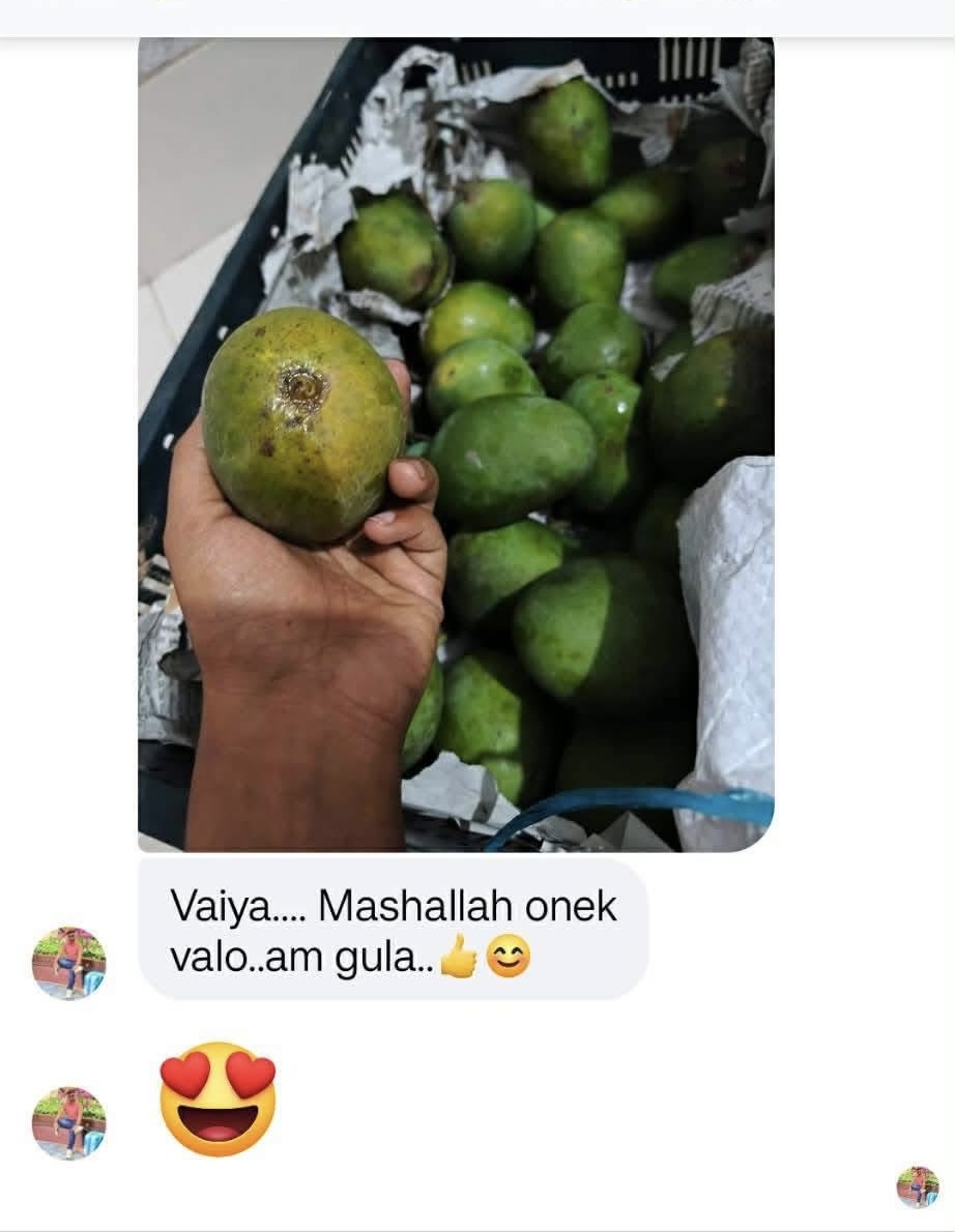 Customer Review